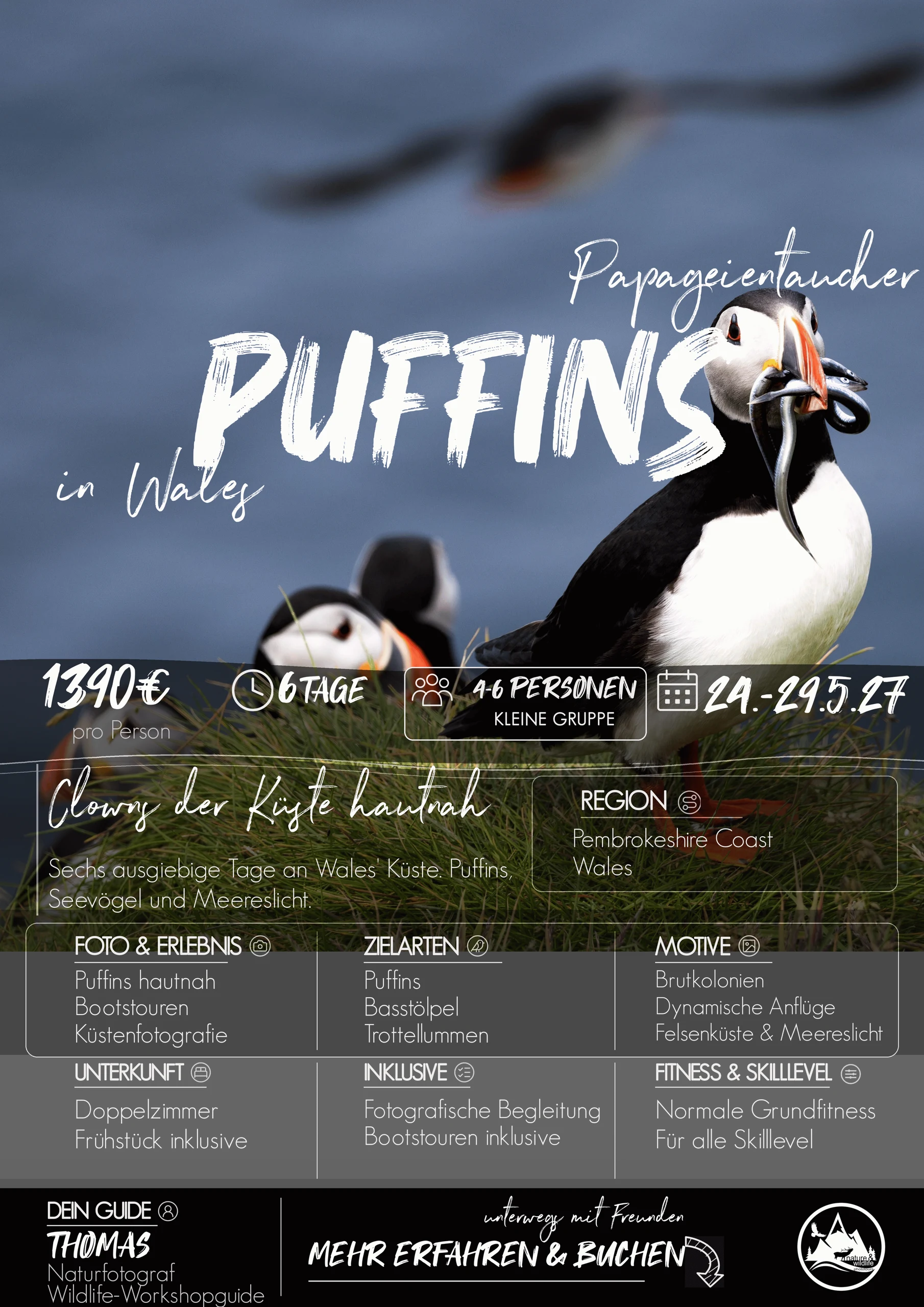 Puffins in Wales · 2027 · 24.05.2027 – 29.05.2027