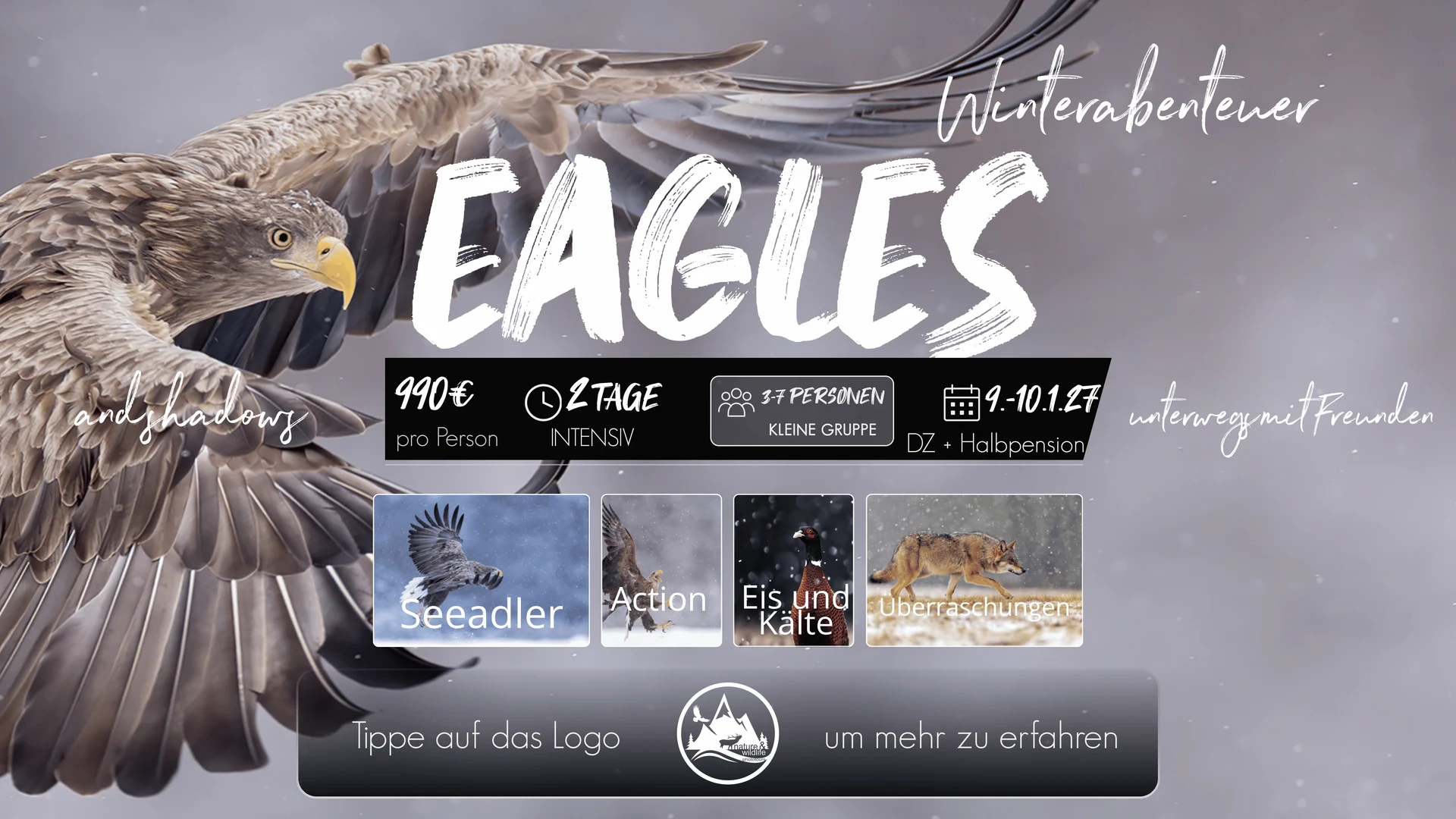 Originalflyer Eagles & Shadows 2027