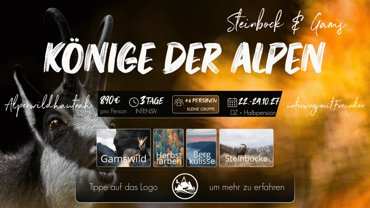 Originalflyer Könige der Alpen 2027