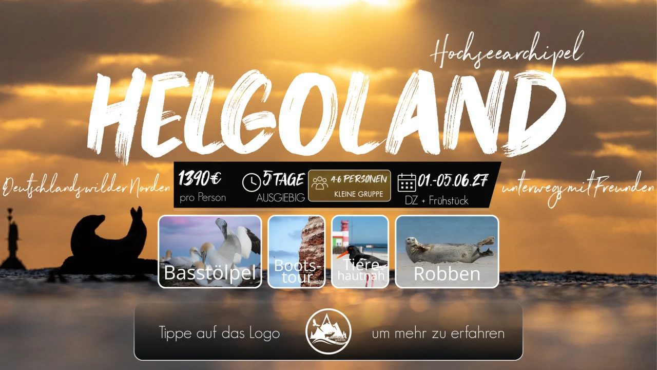 Originalflyer Helgoland 2027