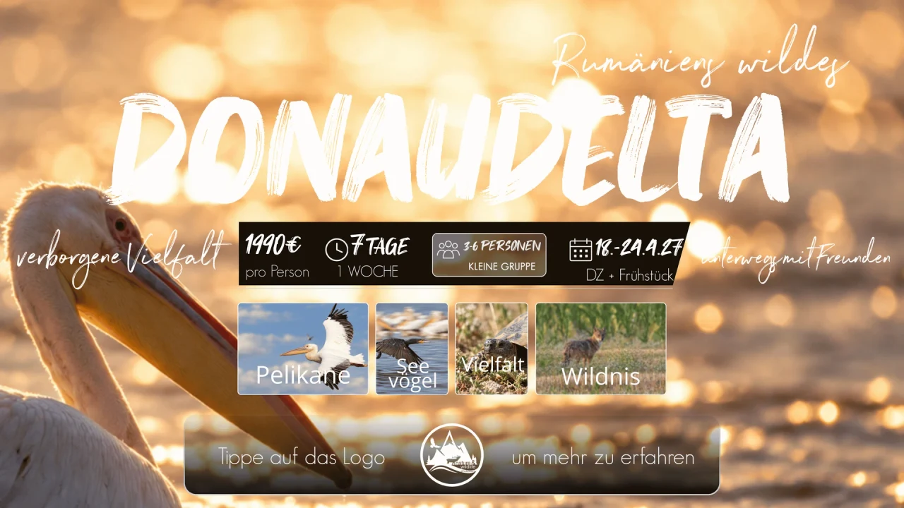 Originalflyer Wildes Donaudelta 2027