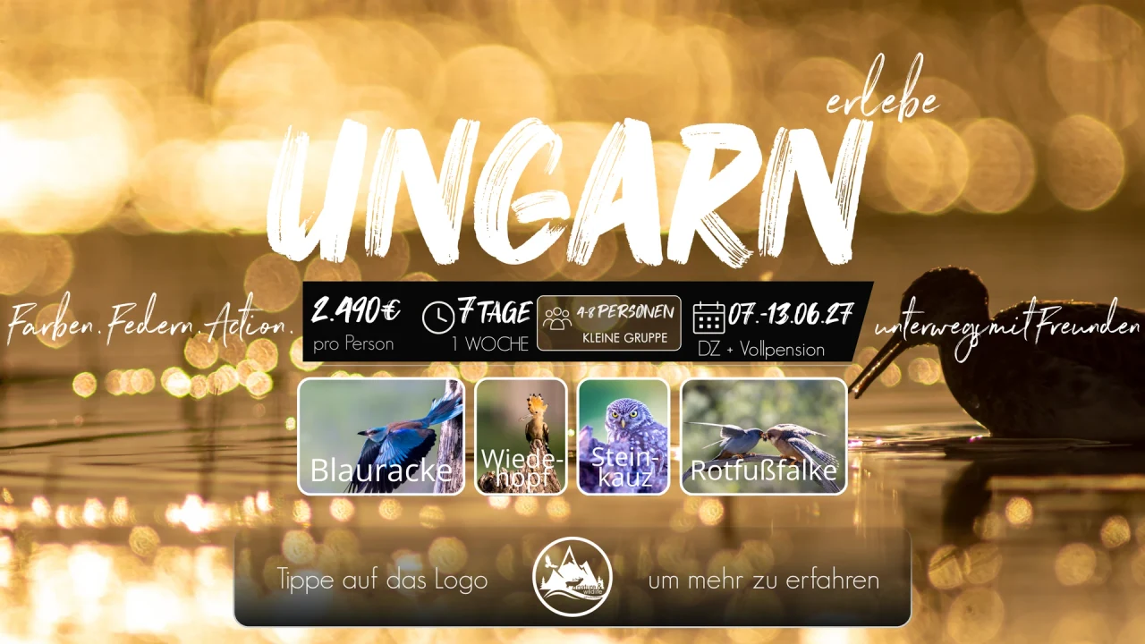 Originalflyer Ungarn 2027