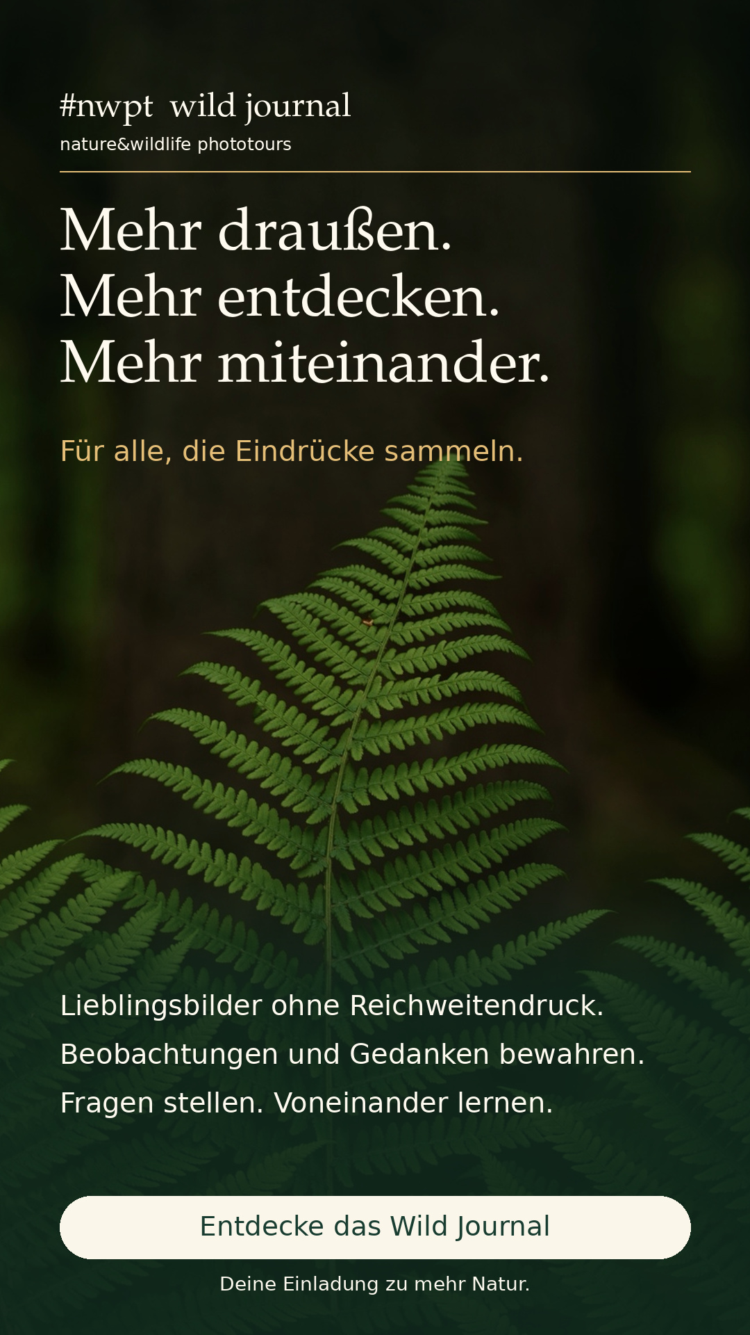 Mehr miteinander