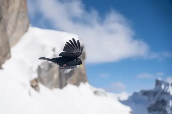 NWPT · Naturfotografie