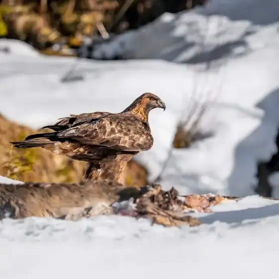 NWPT · Naturfotografie