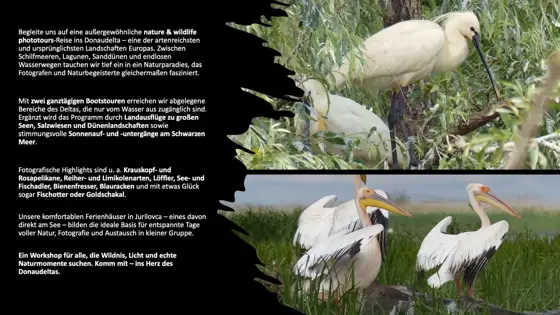 NWPT · Naturfotografie