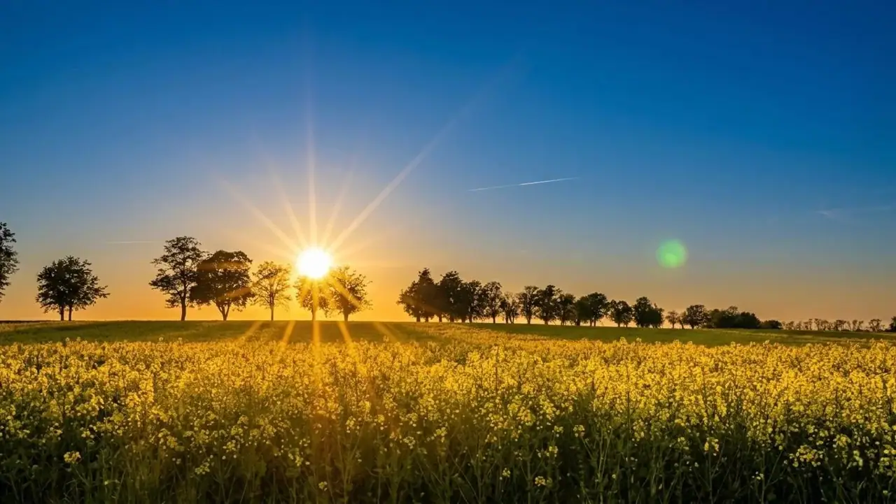 Sonnenaufgang über einer Wiese, 2026