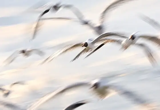 NWPT · Naturfotografie