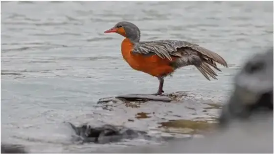NWPT · Naturfotografie