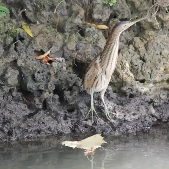 NWPT · Naturfotografie
