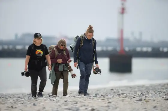 Helgoland 2026