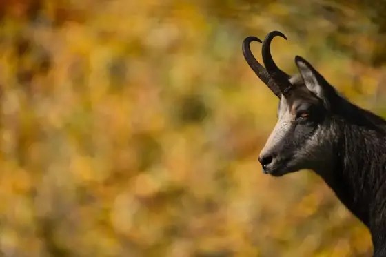 NWPT · Naturfotografie