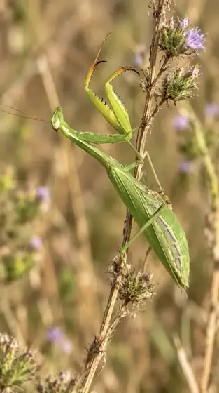 NWPT · Naturfotografie