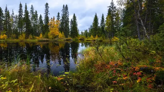 NWPT · Naturfotografie