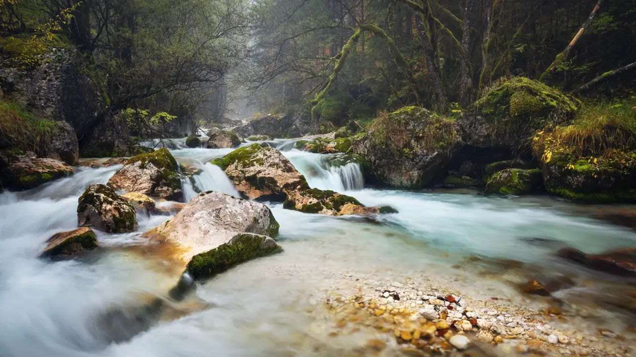 Türkisfarbener Fluss zwischen moosigen Felsen
