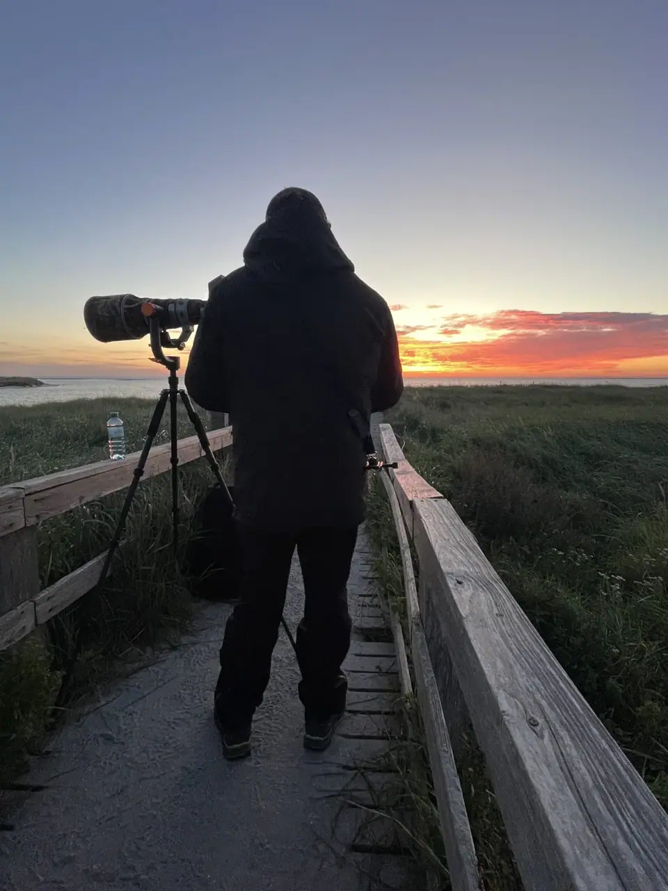 Fotograf im Sonnenaufgang auf einem Steg, 2024
