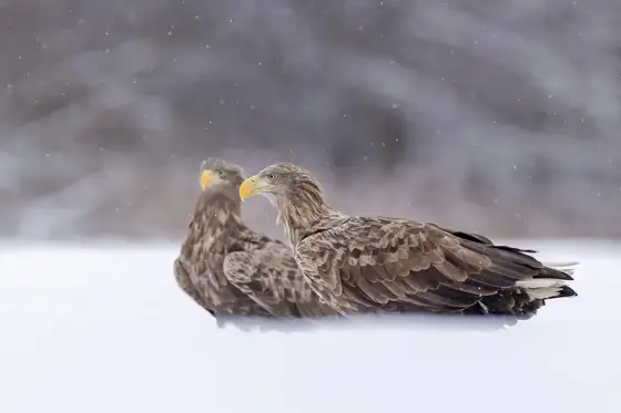 NWPT · Naturfotografie
