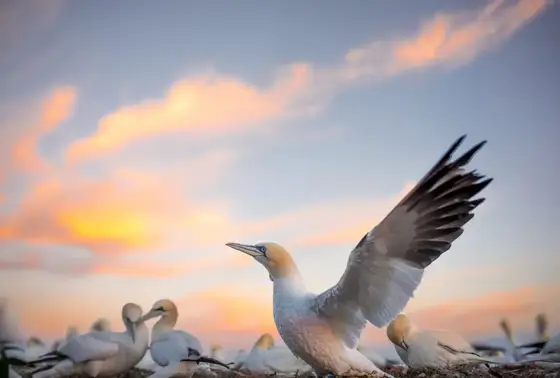 NWPT · Naturfotografie