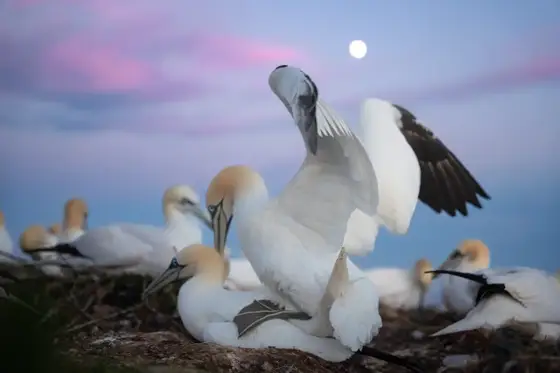 NWPT · Naturfotografie