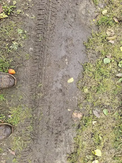 Auf den Spuren des Wolfes