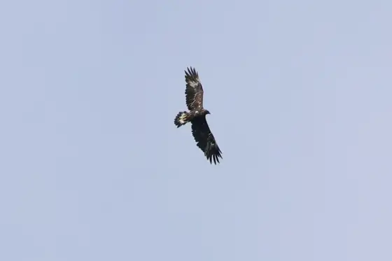 NWPT · Naturfotografie