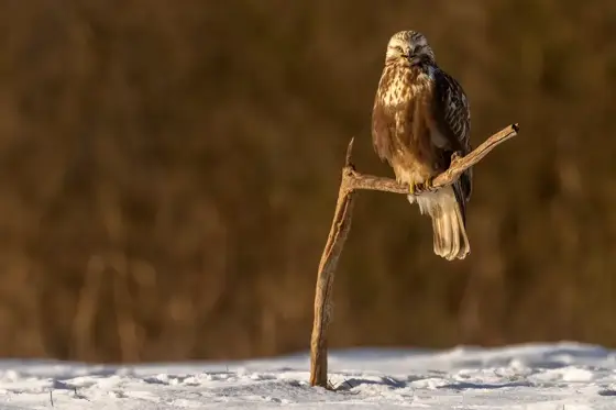 NWPT · Naturfotografie