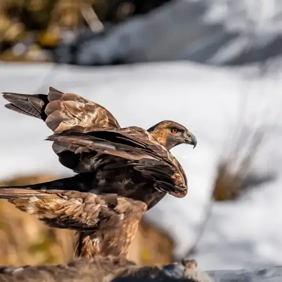 NWPT · Naturfotografie