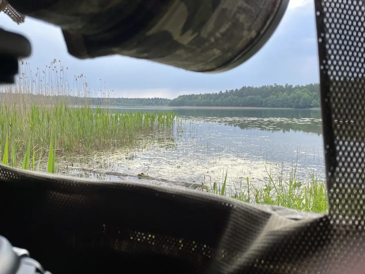 Birding vom Floating Hide in Slowenien