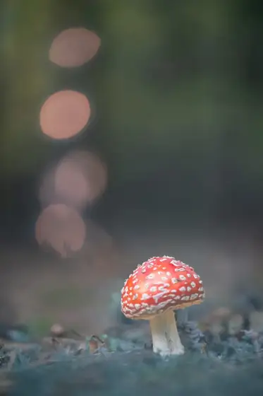 NWPT · Naturfotografie
