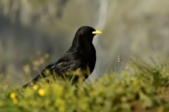 NWPT · Naturfotografie
