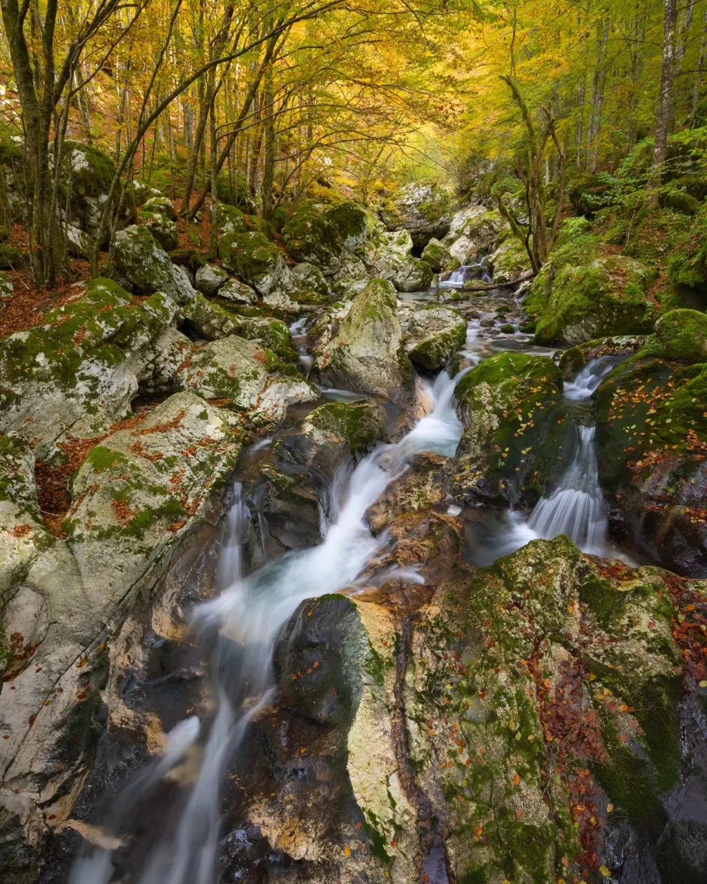 Fotoreise