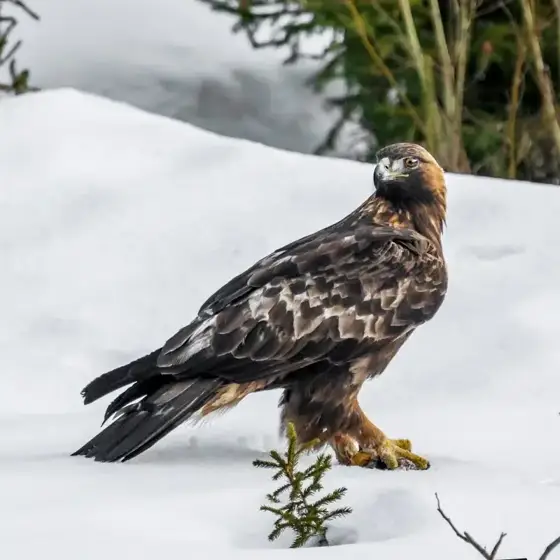 NWPT · Naturfotografie